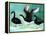 A Ballet of Black Swans, 2013-Nancy Moniz-Framed Premier Image Canvas