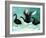 A Ballet of Black Swans, 2013-Nancy Moniz-Framed Giclee Print