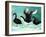 A Ballet of Black Swans, 2013-Nancy Moniz-Framed Giclee Print