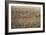 A Balloon View of London, Published by Banks and Company, 1851-null-Framed Giclee Print