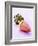 A Banana Flower-Armin Zogbaum-Framed Photographic Print