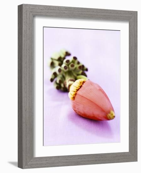 A Banana Flower-Armin Zogbaum-Framed Photographic Print