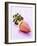 A Banana Flower-Armin Zogbaum-Framed Photographic Print