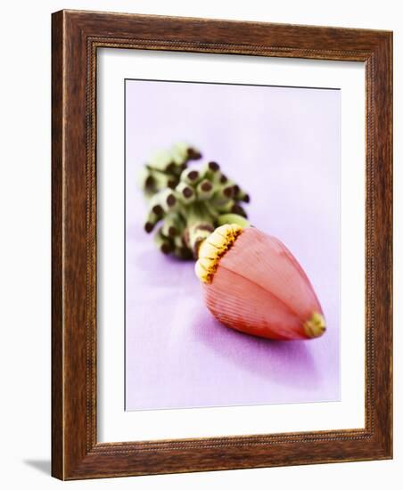 A Banana Flower-Armin Zogbaum-Framed Photographic Print