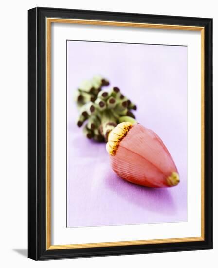 A Banana Flower-Armin Zogbaum-Framed Photographic Print