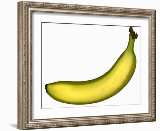 A Banana-Steven Morris-Framed Photographic Print