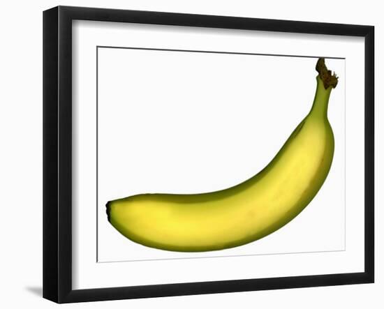 A Banana-Steven Morris-Framed Photographic Print