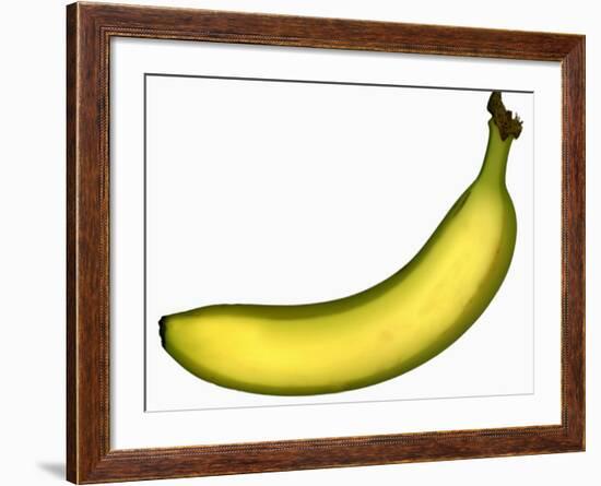 A Banana-Steven Morris-Framed Photographic Print
