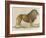 a Barbary Lion-null-Framed Giclee Print