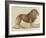 a Barbary Lion-null-Framed Giclee Print