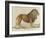 a Barbary Lion-null-Framed Giclee Print