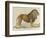 a Barbary Lion-null-Framed Giclee Print