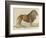 a Barbary Lion-null-Framed Giclee Print