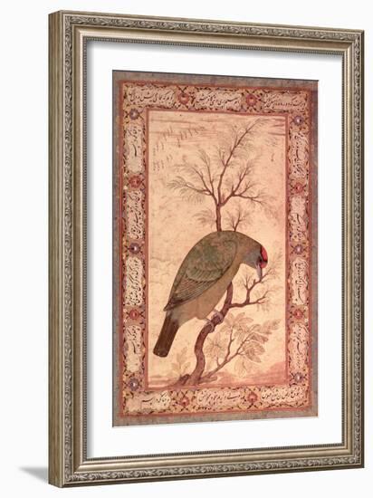 A Barbet (Himalayan Blue-Throated Bird) Jahangir Period, Mughal, 1615-Ustad Mansur-Framed Giclee Print