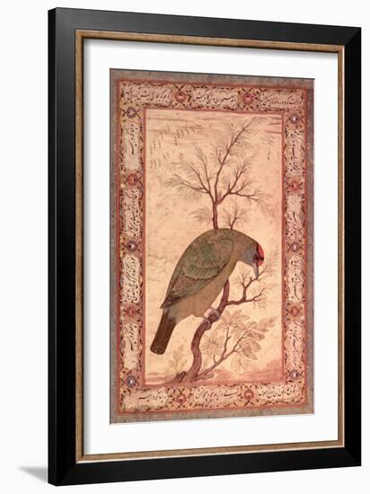 A Barbet (Himalayan Blue-Throated Bird) Jahangir Period, Mughal, 1615-Ustad Mansur-Framed Giclee Print