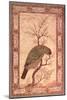 A Barbet (Himalayan Blue-Throated Bird) Jahangir Period, Mughal, 1615-Ustad Mansur-Mounted Giclee Print
