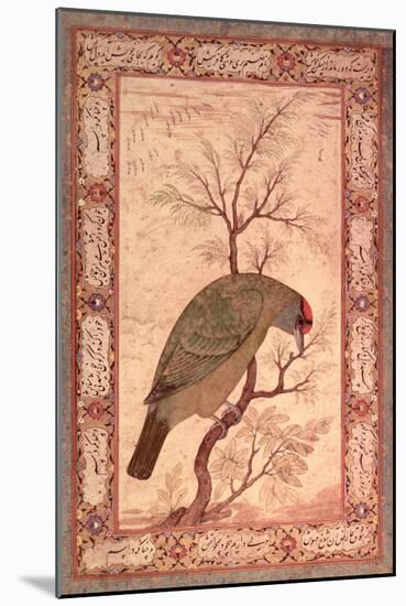 A Barbet (Himalayan Blue-Throated Bird) Jahangir Period, Mughal, 1615-Ustad Mansur-Mounted Giclee Print