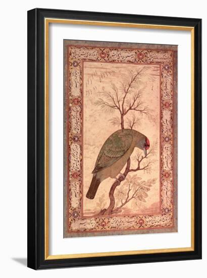 A Barbet (Himalayan Blue-Throated Bird) Jahangir Period, Mughal, 1615-Ustad Mansur-Framed Giclee Print