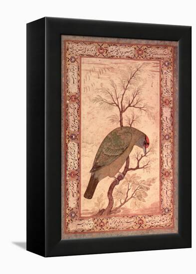 A Barbet (Himalayan Blue-Throated Bird) Jahangir Period, Mughal, 1615-Ustad Mansur-Framed Premier Image Canvas