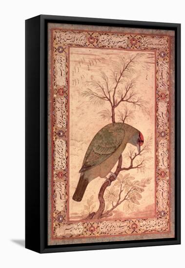 A Barbet (Himalayan Blue-Throated Bird) Jahangir Period, Mughal, 1615-Ustad Mansur-Framed Premier Image Canvas