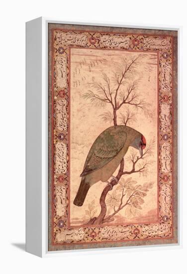 A Barbet (Himalayan Blue-Throated Bird) Jahangir Period, Mughal, 1615-Ustad Mansur-Framed Premier Image Canvas