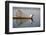 A basket fisherman on Inle Lake scans the still and shallow water for signs of life, Shan State, My-Alex Treadway-Framed Photographic Print