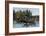 A Bateau (Boat) Race in the North Woods, 1800s-null-Framed Giclee Print