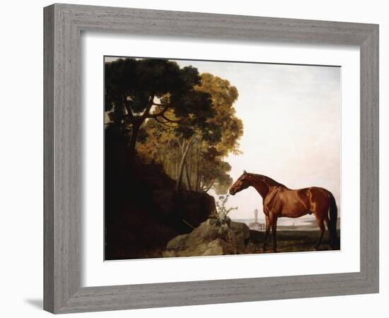 A Bay Arab in a Coastal Landscape, 1779-George Stubbs-Framed Giclee Print