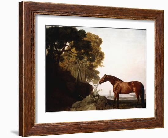 A Bay Arab in a Coastal Landscape, 1779-George Stubbs-Framed Giclee Print