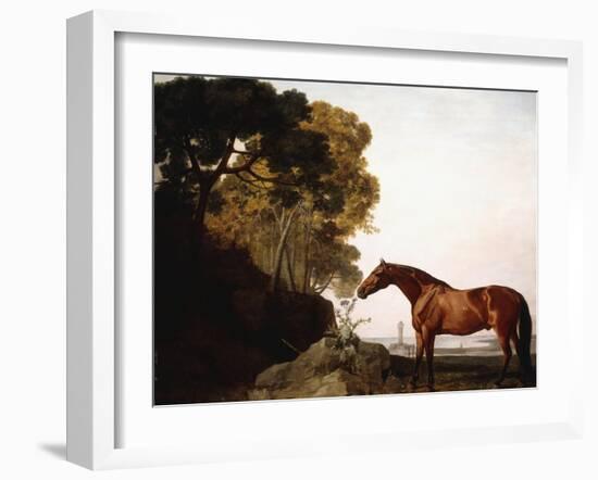 A Bay Arab in a Coastal Landscape, 1779-George Stubbs-Framed Giclee Print