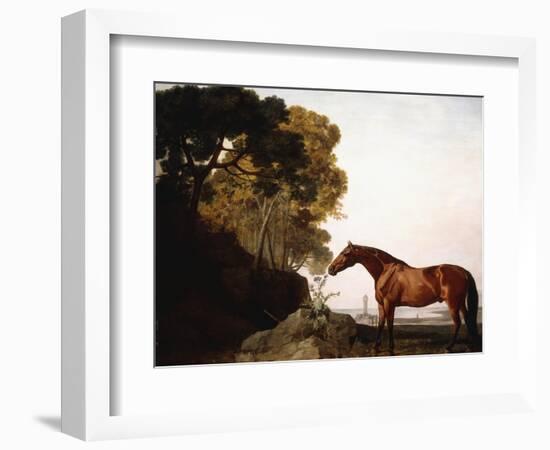 A Bay Arab in a Coastal Landscape, 1779-George Stubbs-Framed Giclee Print