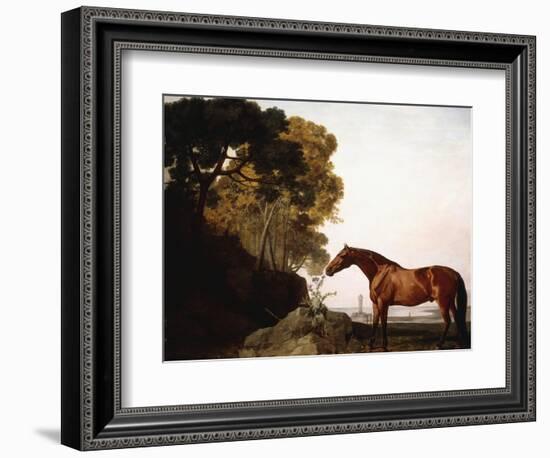 A Bay Arab in a Coastal Landscape, 1779-George Stubbs-Framed Giclee Print