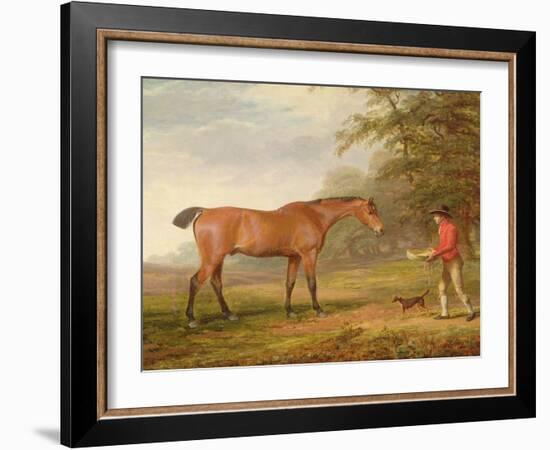 A Bay Horse Approached by a Stable-Lad with Food and a Halter, 1789-George Garrard-Framed Giclee Print