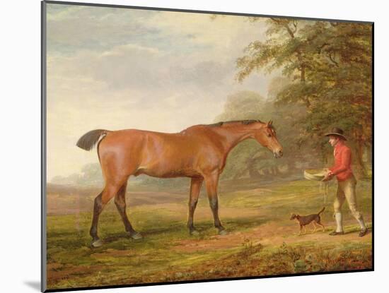 A Bay Horse Approached by a Stable-Lad with Food and a Halter, 1789-George Garrard-Mounted Giclee Print