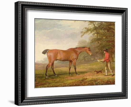 A Bay Horse Approached by a Stable-Lad with Food and a Halter, 1789-George Garrard-Framed Giclee Print