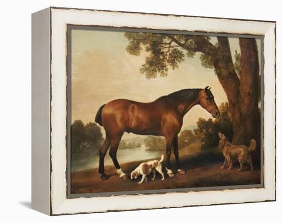 A Bay Hunter, a Springer Spaniel and a Sussex Spaniel, 1782-George Stubbs-Framed Premier Image Canvas