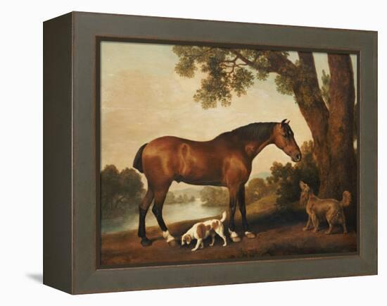 A Bay Hunter, a Springer Spaniel and a Sussex Spaniel, 1782-George Stubbs-Framed Premier Image Canvas