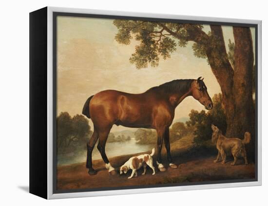 A Bay Hunter, a Springer Spaniel and a Sussex Spaniel, 1782-George Stubbs-Framed Premier Image Canvas