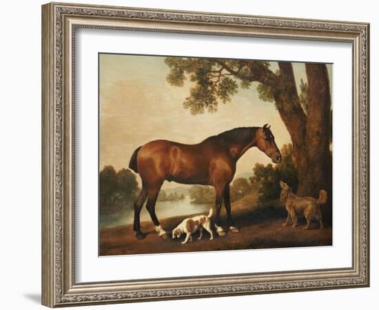 A Bay Hunter, a Springer Spaniel and a Sussex Spaniel, 1782-George Stubbs-Framed Giclee Print