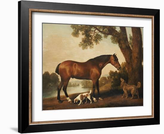 A Bay Hunter, a Springer Spaniel and a Sussex Spaniel, 1782-George Stubbs-Framed Giclee Print