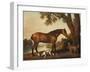 A Bay Hunter, a Springer Spaniel and a Sussex Spaniel, 1782-George Stubbs-Framed Giclee Print