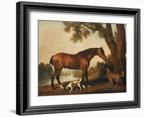 A Bay Hunter, a Springer Spaniel and a Sussex Spaniel, 1782-George Stubbs-Framed Giclee Print