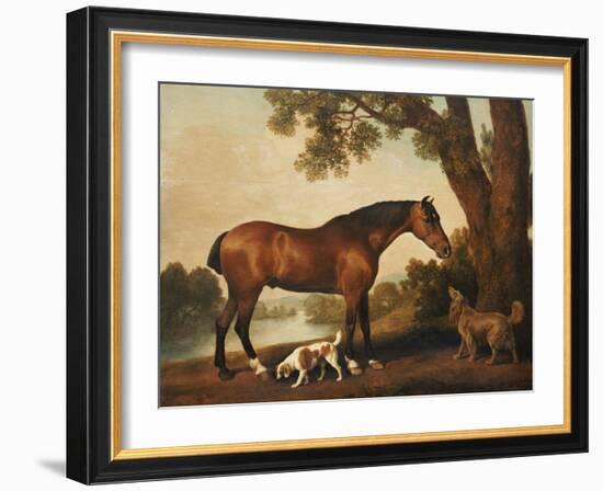 A Bay Hunter, a Springer Spaniel and a Sussex Spaniel, 1782-George Stubbs-Framed Giclee Print