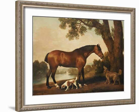 A Bay Hunter, a Springer Spaniel and a Sussex Spaniel, 1782-George Stubbs-Framed Giclee Print