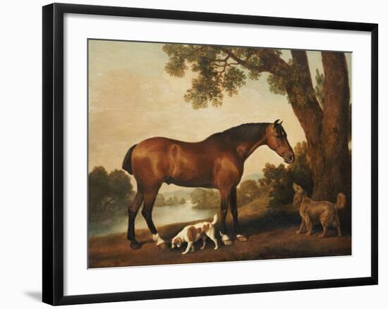 A Bay Hunter, a Springer Spaniel and a Sussex Spaniel, 1782-George Stubbs-Framed Giclee Print