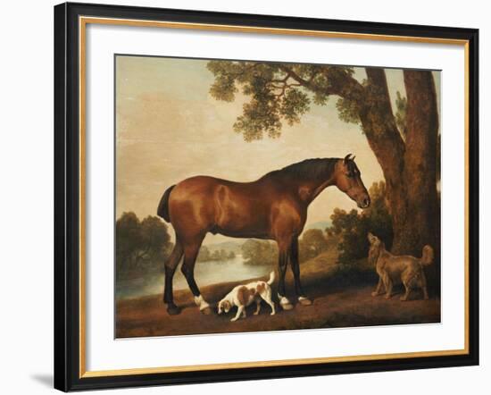 A Bay Hunter, a Springer Spaniel and a Sussex Spaniel, 1782-George Stubbs-Framed Giclee Print