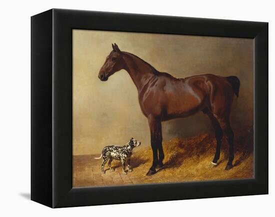 A Bay Hunter and a Spotted Dog in a Stable Interior-John Frederick Herring I-Framed Premier Image Canvas