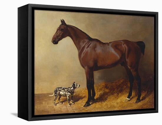 A Bay Hunter and a Spotted Dog in a Stable Interior-John Frederick Herring I-Framed Premier Image Canvas