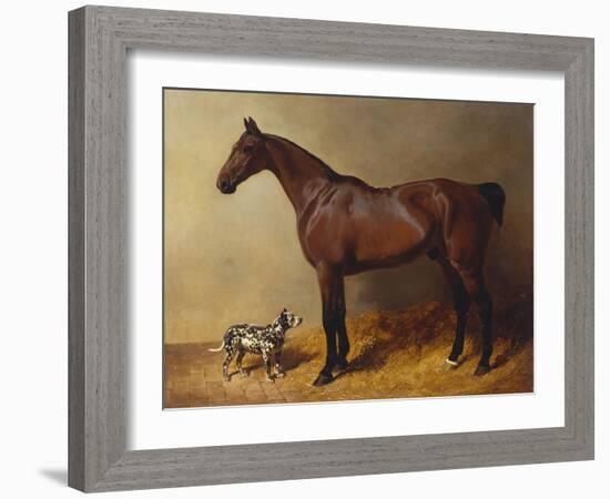A Bay Hunter and a Spotted Dog in a Stable Interior-John Frederick Herring I-Framed Giclee Print