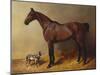 A Bay Hunter and a Spotted Dog in a Stable Interior-John Frederick Herring I-Mounted Giclee Print